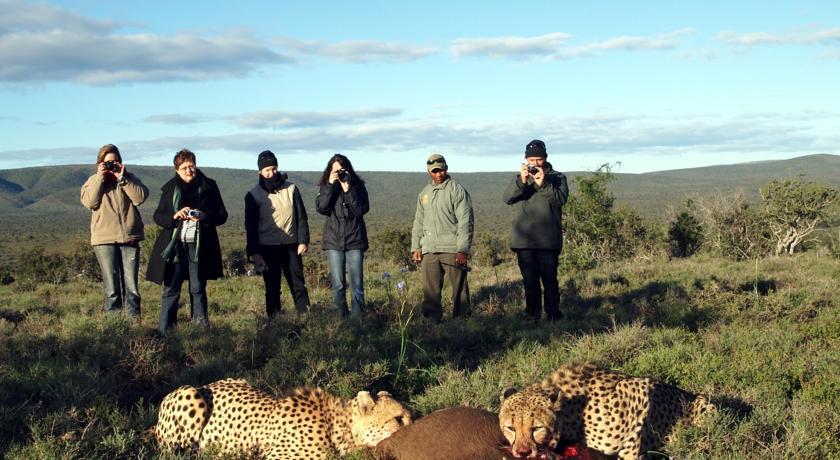 Kuzuko Lodge Addo Buitenkant foto