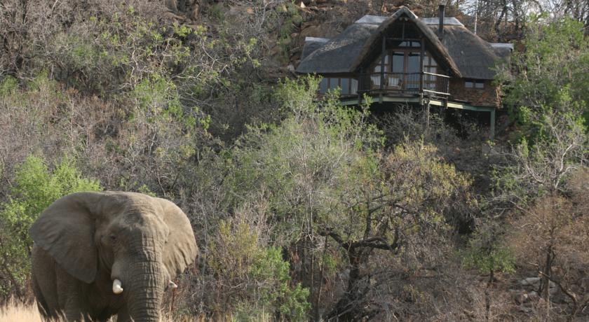 Kuzuko Lodge Addo Buitenkant foto