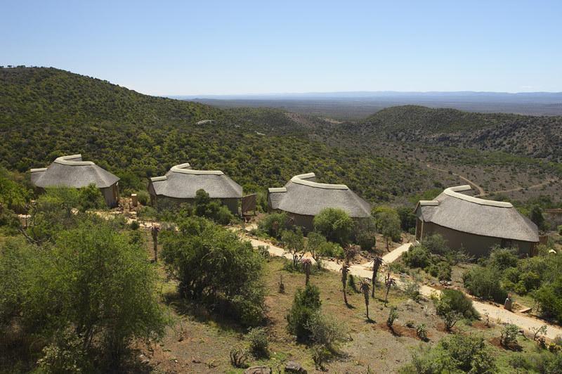 Kuzuko Lodge Addo Buitenkant foto