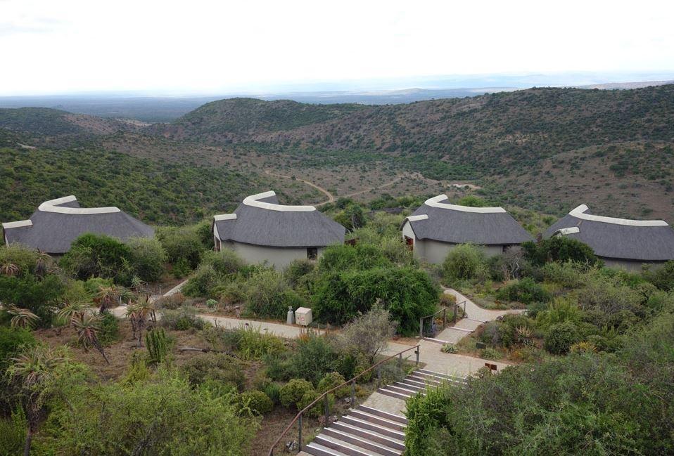 Kuzuko Lodge Addo Buitenkant foto