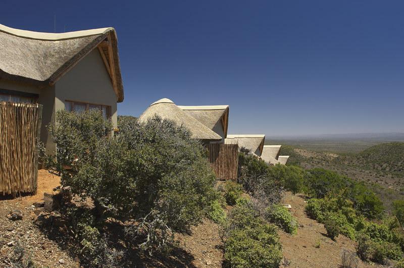 Kuzuko Lodge Addo Buitenkant foto