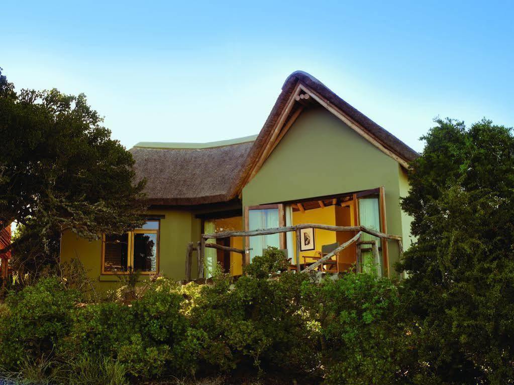 Kuzuko Lodge Addo Buitenkant foto