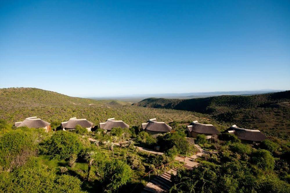 Kuzuko Lodge Addo Buitenkant foto